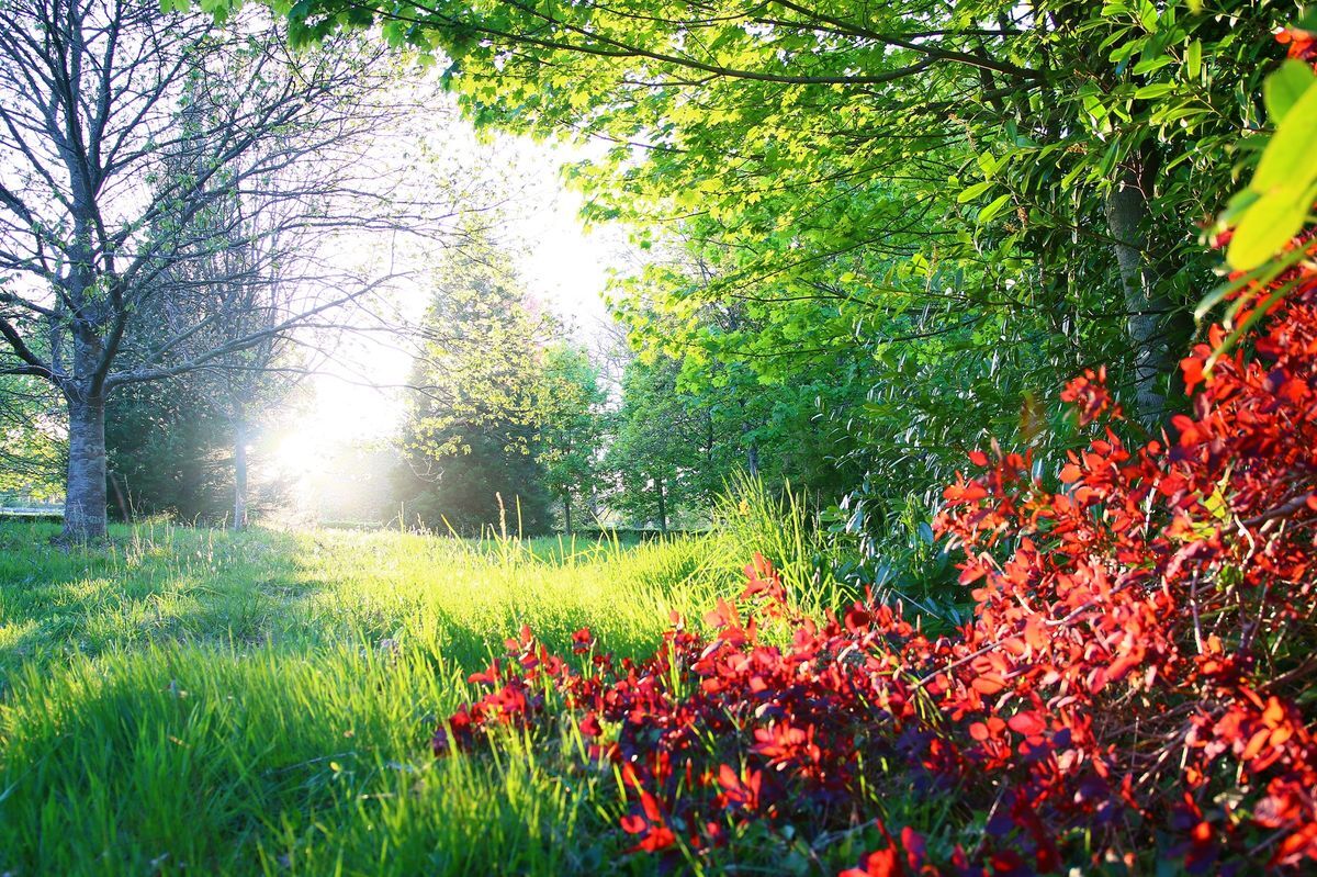 Paysage de nature